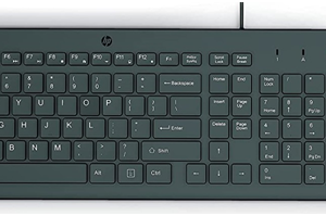 HP 150 Wired Keyboard and Mouse Combo